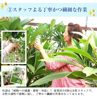 写真印刷0円!超早割クーポン利用で送料無料3,999円!敬老の日ギフトに♪枯れない生花感動写真立て楽天ランキング1位獲得!プリザーブドフラワーKARENフォトフレームプリザーブドフラワー誕生日プレゼント結婚祝プリザードフラワー送別ギフト母の日お中元