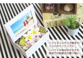 写真印刷0円!超早割クーポン利用で送料無料3,999円!敬老の日ギフトに♪枯れない生花感動写真立て楽天ランキング1位獲得!プリザーブドフラワーKARENフォトフレームプリザーブドフラワー誕生日プレゼント結婚祝プリザードフラワー送別ギフト母の日お中元