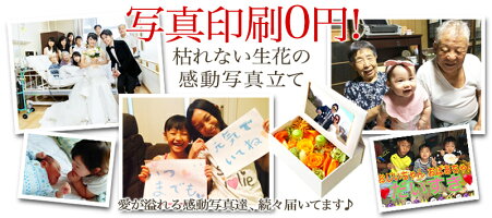 あす楽15時までプリザーブドフラワーお中元敬老の日ギフト2021プレゼントプリザ花誕生日フォトフレーム写真立て写真たてかわいいおしゃれ結婚祝いフォトL版母親義母結婚記念日送別内祝お礼お返し