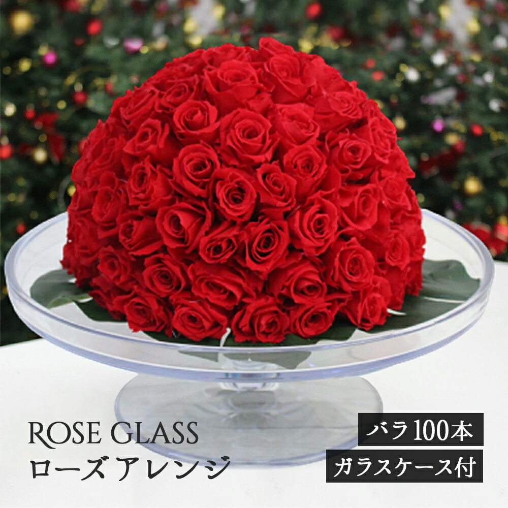 ROSE GLASS ローズアレンジ バラ 100本 ガラスケース付き ローズ プレゼント プリザーブドフラワー 薔薇 ばら 花 バラ ギフト プリザ 誕生日 お祝 昇進祝 豪華 ギフト 叙勲 受賞 記念 結婚記念日 新築祝い 特別 開店 長寿のお祝 【2023年5月月間優良ショップ】 母の日