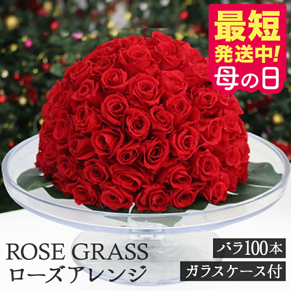 ROSE GLASS ローズアレンジ バラ 100本 ガラスケース付き ローズ プレゼント プリザーブドフラワー 薔薇 ばら 花 バ…