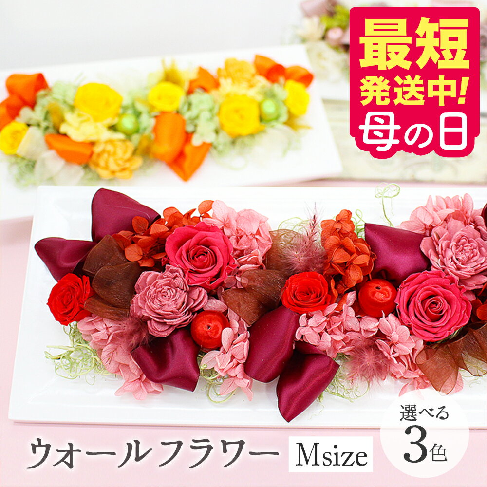 プリザーブドフラワー アレンジメント ウォールフラワー 母の日 花 送料無料 プレゼント 2026 【最短翌日配達★15時〆】 送別 ギフト 誕生日 壁掛け クリアケース付 結婚祝い バラ 勲章 受賞 記念 叙勲 新築 還暦祝い 古希 米寿 メッセージ 写真付き