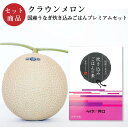 メロン クラウンメロン×国産うなぎ炊き込みごはんプレミアムセット (クラウンメロン山等級 1玉 (静岡県産) 国産うなぎ炊き込みごはんの素×1)