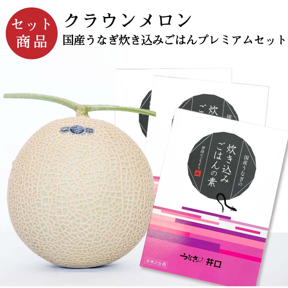 メロン クラウンメロン×国産うなぎ炊き込みごはんプレミアムセット (クラウンメロン山等級 1玉 (静岡県産) 国産うなぎ炊き込みごはんの素×3)