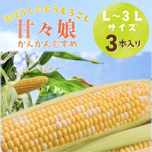 静岡県産とうもろこし 「甘々娘(かんかんむすめ)」L〜3Lサイズ×3本 とうもろこし