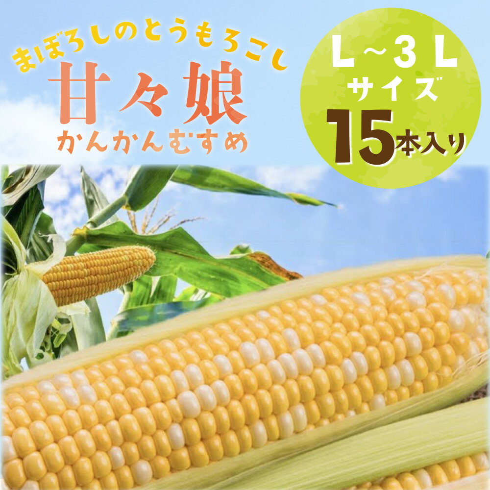 静岡県産とうもろこし 「甘々娘(かんかんむすめ)」L〜3Lサイズ×15本 とうもろこしのサムネイル