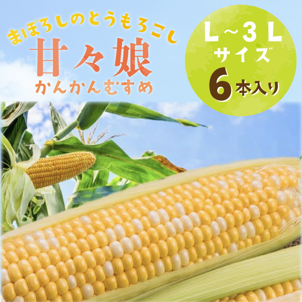 静岡県産とうもろこし 「甘々娘(かんかんむすめ)」L〜3Lサイズ×6本 とうもろこし