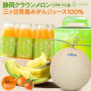 クラウンメロン×陽だまりみかんジュースセット (クラウンメロン山等級 1玉 (静岡県産) 陽だまりみかんジュース(180ml) 6本)