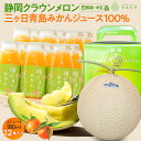 クラウンメロン×陽だまりみかんジュースセット (クラウンメロン白等級 1玉 (静岡県産) 陽だまりみかんジュース(180ml) 12本)