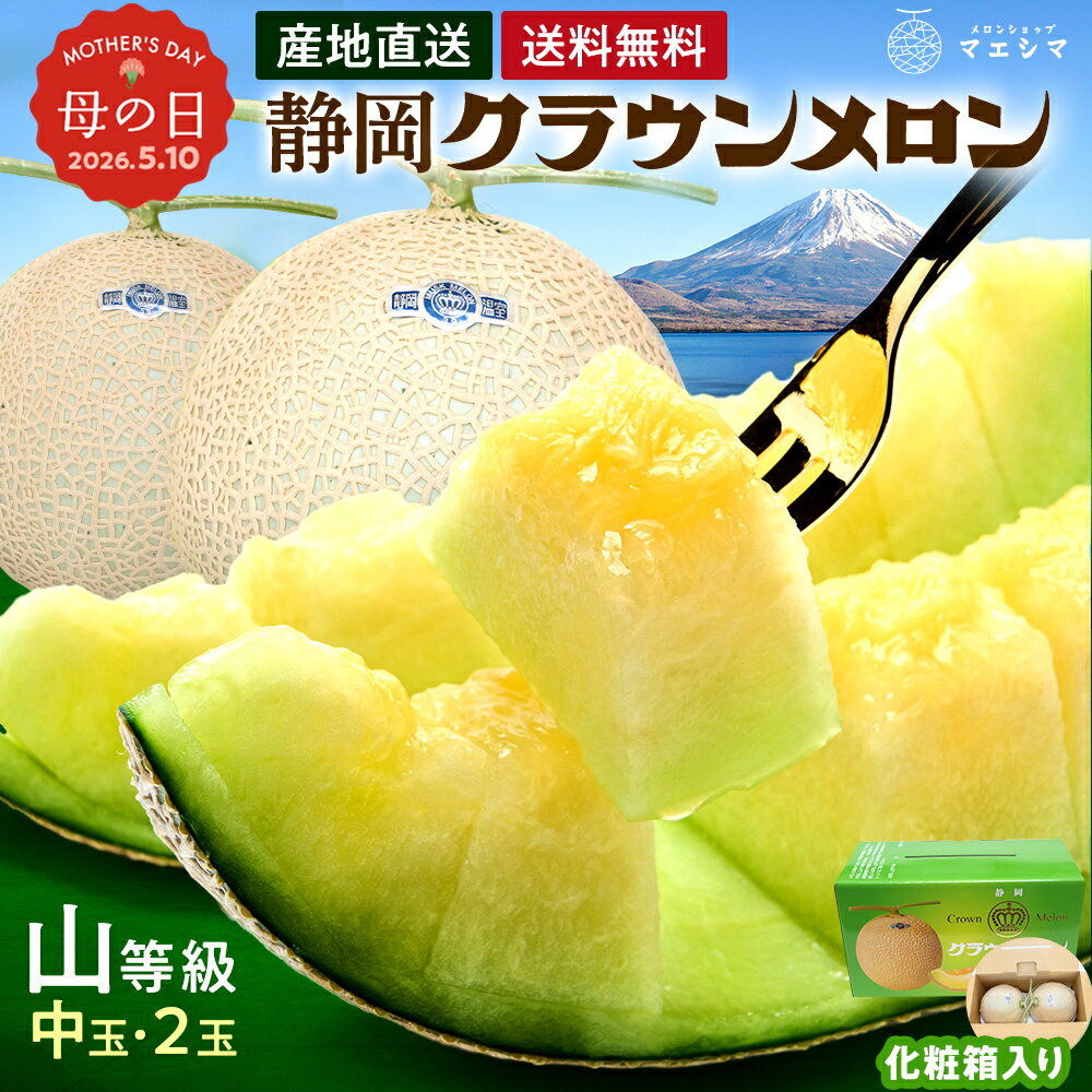 【送料無料】静岡クラウンメロン 山等級 1.3kg前後 2玉 ガラス温室栽培 化粧箱入 静岡県産(日時指定OK)