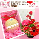 【母の日ギフト】母の日限定ギフトボックス クラウンメロン【並(白等級)】中玉1玉入り+お花のセット 静岡クラウンメロン 静岡県産 マスクメロン メロン お見舞い...
