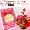 【母の日ギフト】母の日限定ギフトボックス クラウンメロン【上(山等級)】中玉1玉入り+お花のセット 静岡クラウンメロン 静岡県産 マスクメロン メロン お見舞い...
