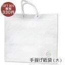 手提げ紙袋 (大) ギフトボックス用