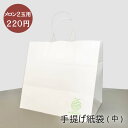 手提げ紙袋 (中) クラウンメロン2玉用