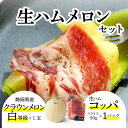 【お中元】生ハムメロンセット (クラウンメロン白等級 1玉 (静岡県産) 生ハム(コッパ×1))
