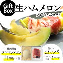 【送料無料】生ハムメロンプレミアムギフトボックスセット (クラウンメロン山等級 1玉 (静岡県産) 生ハム(コッパ×1))