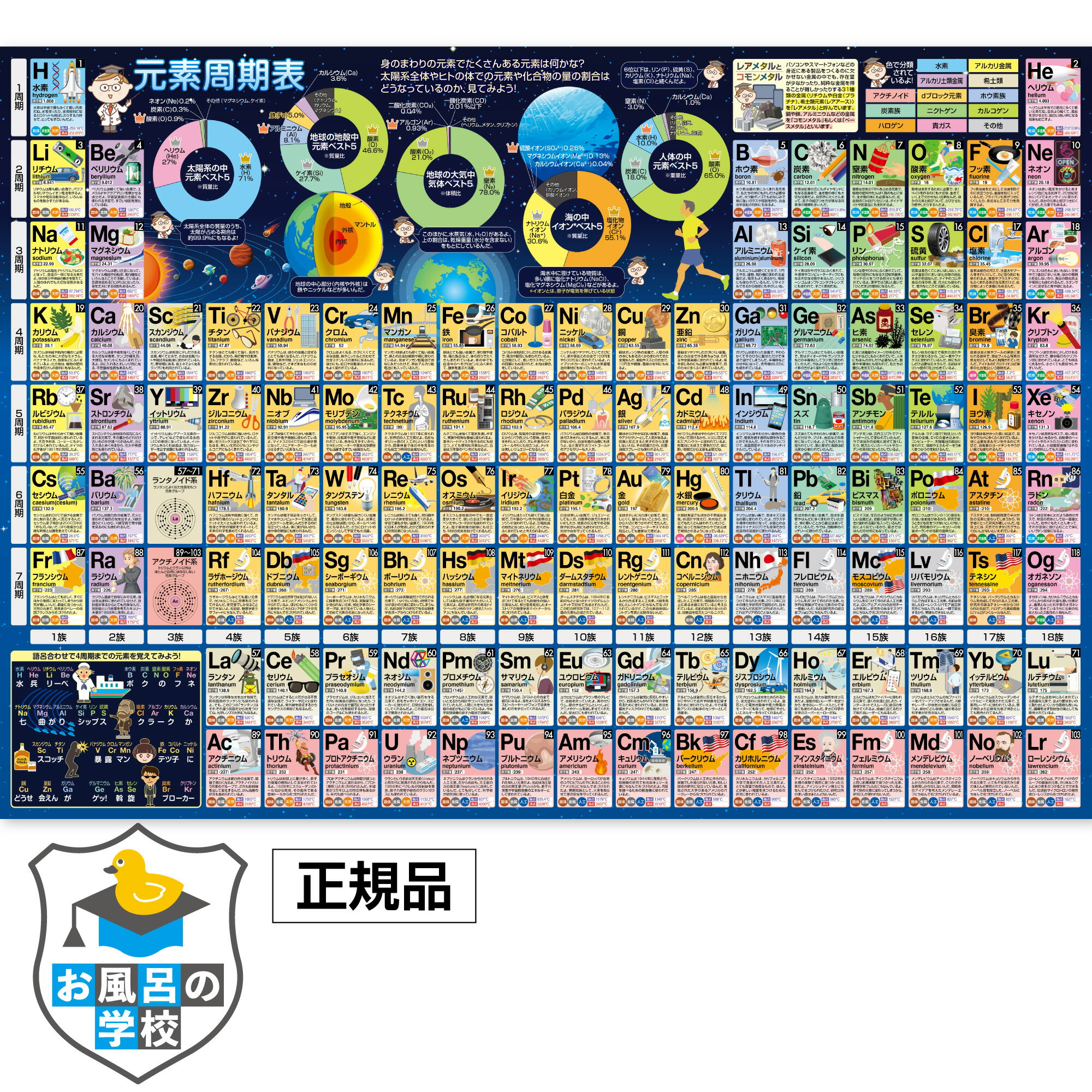 カラー手提バスケット　MY24−青・緑・赤・白・黒