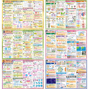 お風呂の学校 セット価格 中学受験マスター算数/理科 お風呂ポスター2種類セット 日本製 算数 理科 学習 知育 お風呂で勉強 受験ポスター 昆虫 天気 人体 力学 電気 宇宙 図形 消去算 仕事算 植木算 B3サイズ 防水 お風呂ポスター 小学生