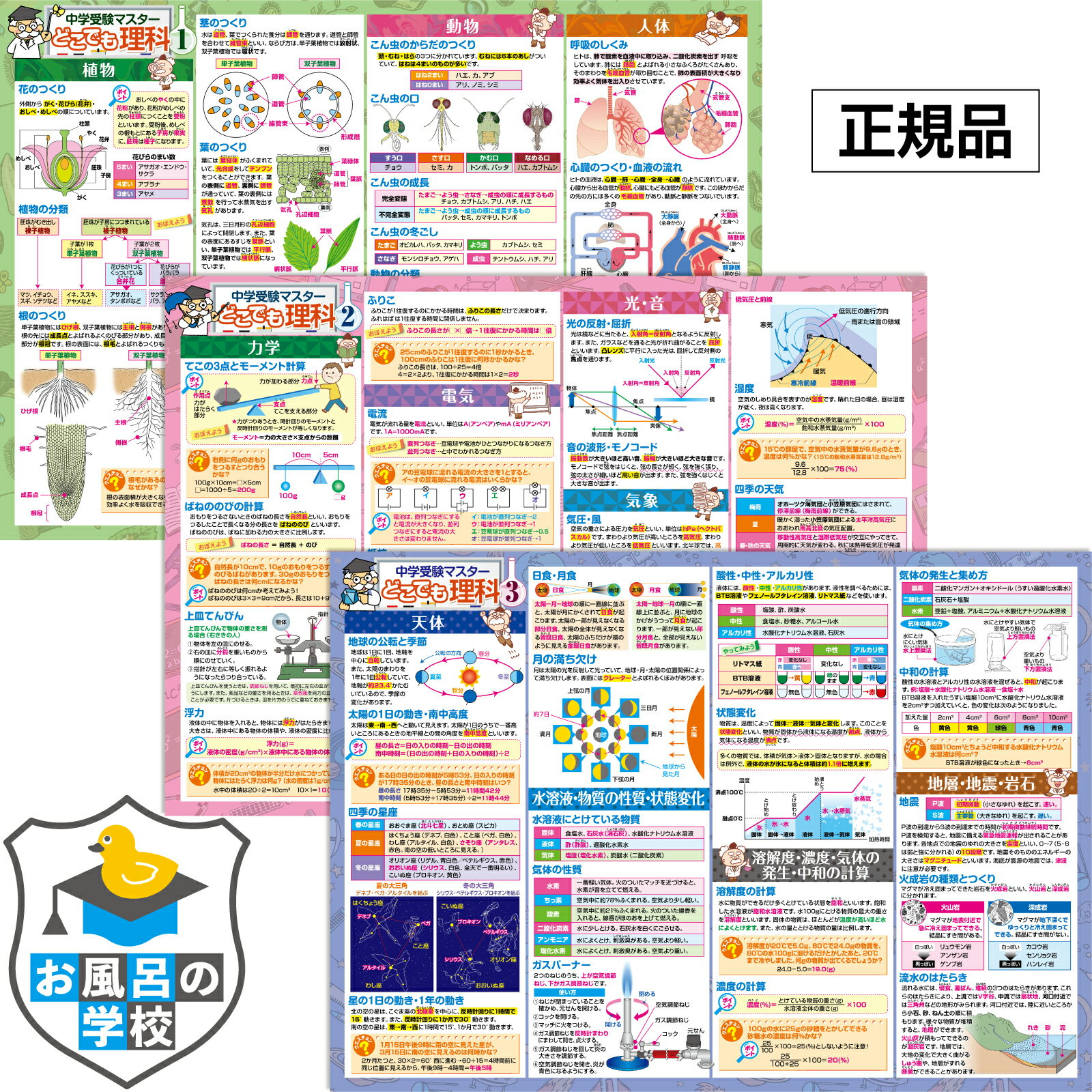 中学受験マスターどこでも理科1〜3 お風呂ポスター お風呂 知育 ポスター 中学受験 3枚セット 中学受験に必要な理科まとめ B3サイズ 横51.5cm 縦36.4cm 理科 防水 お風呂の学校 知育ポスター …