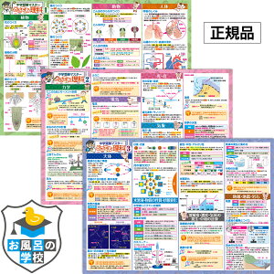 中学受験マスターどこでも理科1〜3 お風呂ポスター 3枚セット 中学受験に必要な理科まとめ B3サイズ(横51.5cm×縦36.4cm) お風呂 知育 ポスター 中学受験 理科 防水 お風呂の学校 知育ポスター 勉強 便利グッズ 中学入試 小学生 小学4年 小学5年 小学6年 教材