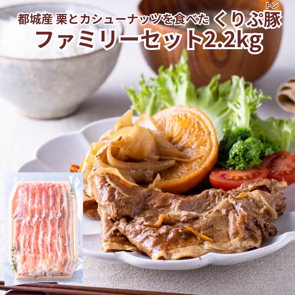 九州産 くりぷ豚 ファミリーセット 10人前～ 肩ロース焼肉 200gバラ焼肉400g ローススライス200g 肩ローススライス 200g バラスライス 200g モモウデサイコロカット500g 豚ミンチ500g 宮崎県産 贈り物 ブランド豚 贈答 お歳暮