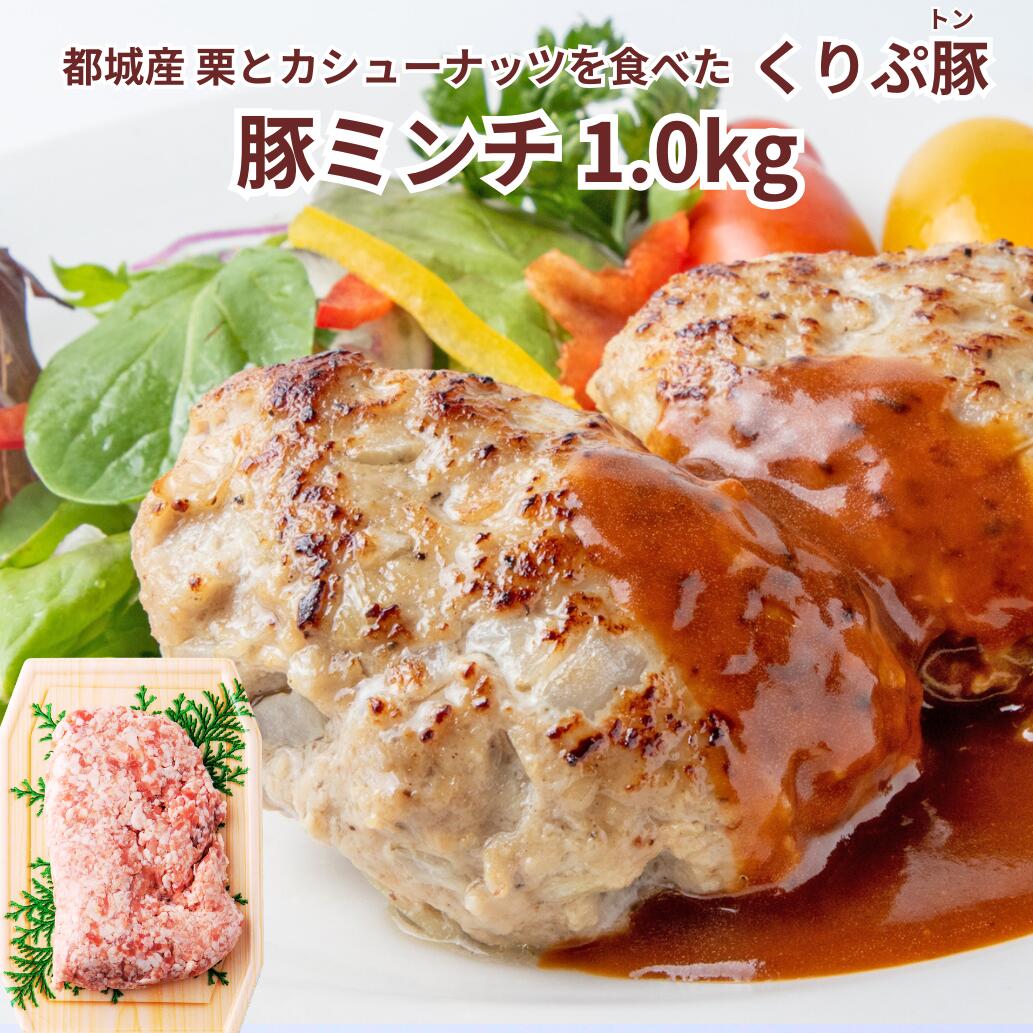 国産 ブランド豚100% 挽肉 都城産 くりぷ豚 豚ミンチ1kg 豚ミンチ250g×4パック 宮崎県産 精肉 贈り物 ブランド豚 贈…