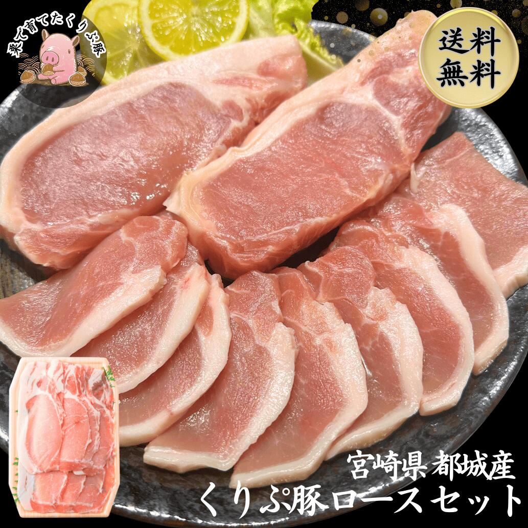 【訳あり】【今だけ 特別価格】 賞味期限間近 国産 宮崎 ロース三昧セット ( とんかつ 生姜焼き 焼肉 ) 合計3.5kg（300g×5・200g×10）真空冷凍パック 送料無料 家庭用 大容量 お得 冷凍保存 訳ありのサムネイル
