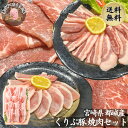 国産 宮崎 豚肉 焼肉セット 合計1kg ロース200g×3パック 肩ロース 200g×1パック バラ 200g×1パック 冷凍 豚真空パック 冷凍保存 送料無料 大容量 お得 家庭用 業務用 普段使い