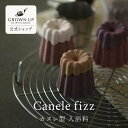 GROWN UP by sweets maison canele fizz カヌレフィズ | スウィーツメゾン カヌレ 入浴料 お菓子 可愛い 母の日 プチ ギフト プレゼント