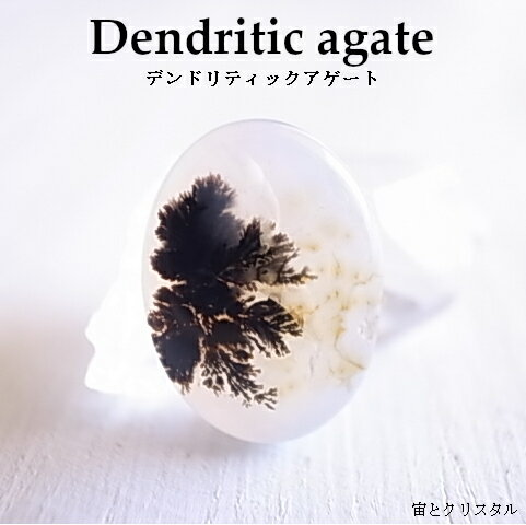 アウトレット デンドリティックアゲート マダガスカル産 ルース 天然石 原石 カボション 宝石 ジュエリー パワーストーン メール便 送料無料