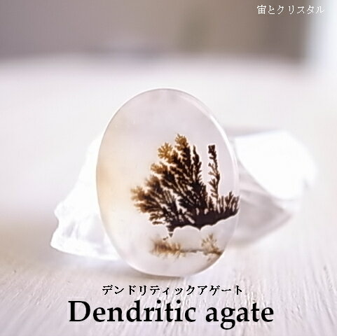 デンドリティックアゲート マダガスカル産 ルース 天然石 原石 カボション 宝石 ジュエリー パワーストーン メール便 送料無料 デンドリティックアゲート マダガスカル産 ルース 天然石 原石 カボション 宝石 ジュエリー パワーストーン メール便 送料無料