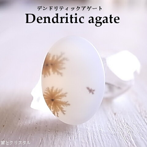 デンドリティックアゲート マダガスカル産 ルース 天然石 原石 カボション 宝石 ジュエリー パワーストーン デンドリティックアゲート マダガスカル産 ルース 天然石 原石 カボション 宝石 ジュエリー パワーストーン