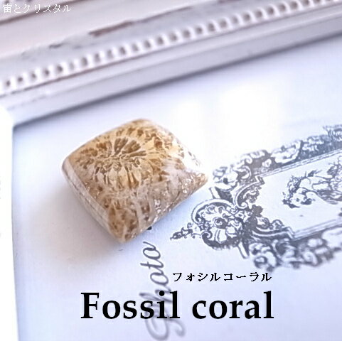 フォシルコーラル インドネシア産 ルース 天然石 原石 カボション 宝石 ジュエリーパワーストーン フォシルコーラル インドネシア産 ルース 天然石 原石 カボション 宝石 ジュエリーパワーストーン