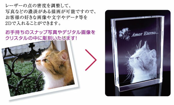 �̿��ǡ��ϡ��ȷ�