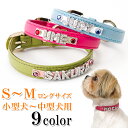 Supreme B.B. Simon / シュプリーム ビービー サイモンStudded Dog Collar 