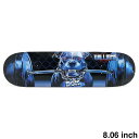 DGK DECK ディージーケー デッキ STEVIE WILLIAMS CAGED 8.06 スケートボード スケボー