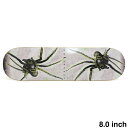 POLAR DECK ポーラー デッキ DAVID STENSTROM SPIDER 8.0 SHORT スケートボード スケボー