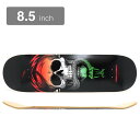 POWELL PERALTA DECK パウエルペラルタ デッキ TEAM McGILL SKULL & SNAKE GREEN FADE 8.5 スケートボー...