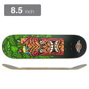 SANTA CRUZ DECK サンタクルーズ デッキ ROB ROSKOPP TIKI MUG 8.5 スケートボード スケボー