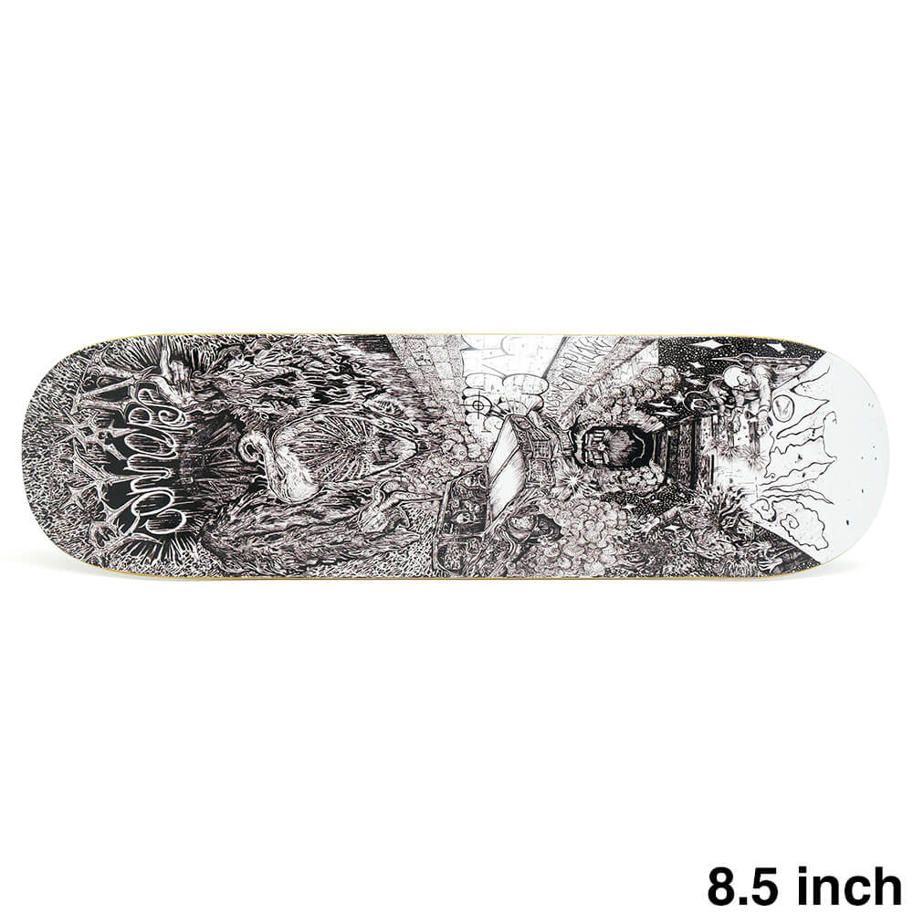 SWIM DECK  ǥå RYAN CONNORS DEBUT 8.5 ȥܡ ܡ