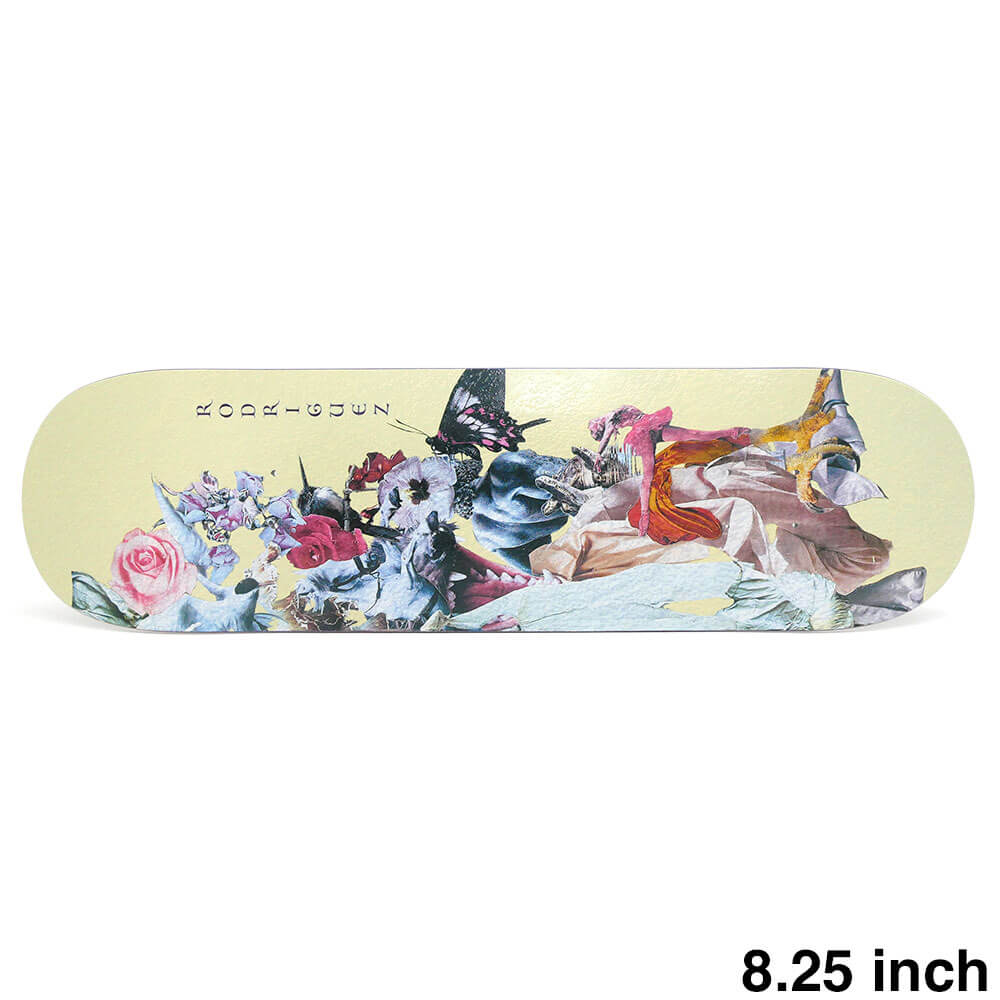 楽天市場】primitive 8．25の通販
