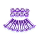 HARDZEISS BOLT ハードツアイス ボルト(プラス)1インチ PHILLIPS MK4 TADAYASU OHTUKA PURPLE スケートボード ...