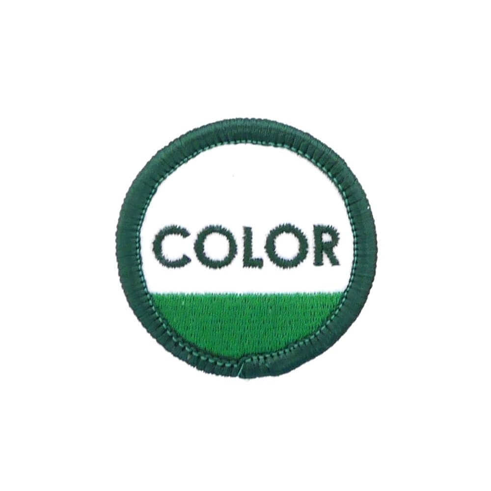 COLOR COMMUNICATIONS PATCH カラーコミュニケーションズ ワッペン CIRCLE INK スケートボード スケボー