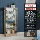 コレクションケース フィギュア棚 完成品 ダウンライト 幅50cm 高さ120cm ミドルタイプ ガラスケース ディスプレイ ぬい 推し ペンラ 開梱設置 アイ...