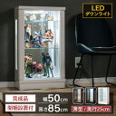 【最大1000円OFFクーポン配布中！～4/29まで】 コレクションケース LED ライト付き 幅50 ロータイプ 小型 コレクションボード ガラスケース ショーケース 収納ケース キュリオケース フィギュア ガンプラ ガラス ガラス棚 棚 収納 フェリックス