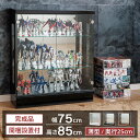 【ポイント2倍！期間限定26日1:59まで】 フィギュアケース フィギュア棚 コレクションケース 75 ロータイプ 薄型 コレクションボード ショーケース トミカケース 収納ケース ワンピース ガンプラ ガンダム フィギュア ウィスキー 棚 収納 ガラス スペクトル