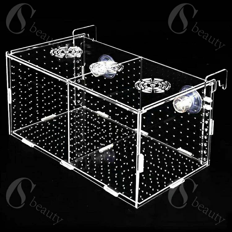 繁殖隔離ボックス 隔離箱 水槽用 孵化 産卵箱 魚の隔離 飼育保護 水族館アクセサリー 透明 アクリル 吸..