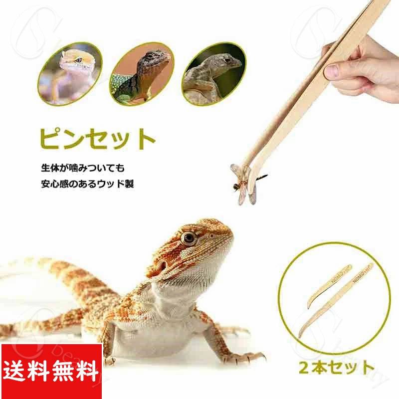 爬虫類 トカゲ 餌やり ピンセット2点セット 大 小 送料無料