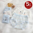 送料無料ショーツ レディース インナー うさぎ柄 5枚組 5点セット M/L/XL 可愛い 綿ショーツ 中学生 10代20代30代 通気 伸縮性 フィット感 ヒップアップ 美尻 美腹 少女 綿パンツ