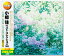 新品 決定盤 小椋佳 ベスト・コレクション (CD2枚組) 全30曲 WCD-662 1,618円